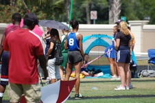Enlarge photo 242