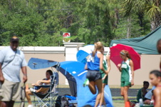Enlarge photo 252