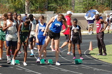 Enlarge photo 379