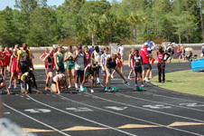 Enlarge photo 382