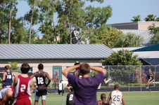Enlarge photo 491