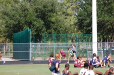 Enlarge photo 495