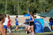 Enlarge photo 524