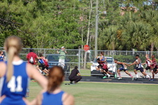 Enlarge photo 564