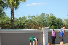 Enlarge photo 767