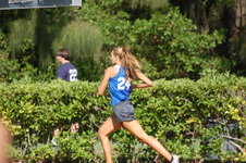 Enlarge photo 55