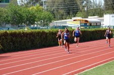 Enlarge photo 110