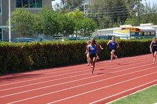 Enlarge photo 112