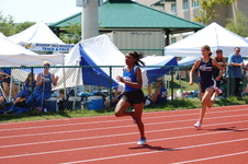 Enlarge photo 121