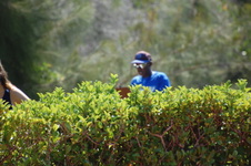 Enlarge photo 179