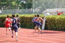 Enlarge photo 182