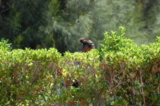 Enlarge photo 211