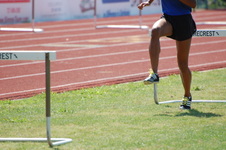 Enlarge photo 235