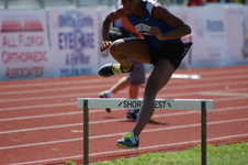 Enlarge photo 237