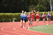 Enlarge photo 250