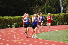 Enlarge photo 252
