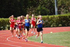 Enlarge photo 254