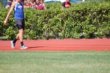 Enlarge photo 263
