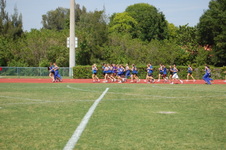 Enlarge photo 1381
