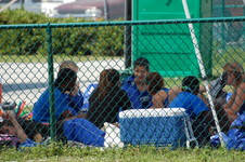 Enlarge photo 314