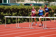Enlarge photo 338