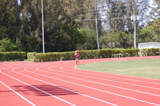 Enlarge photo 341
