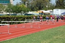 Enlarge photo 372