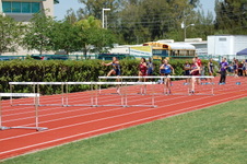 Enlarge photo 374