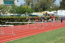 Enlarge photo 376