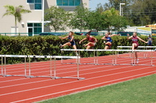 Enlarge photo 378