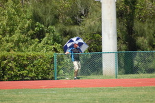Enlarge photo 387