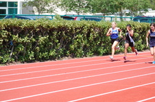 Enlarge photo 422