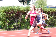 Enlarge photo 424
