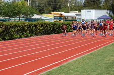 Enlarge photo 432