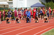 Enlarge photo 467