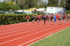 Enlarge photo 471