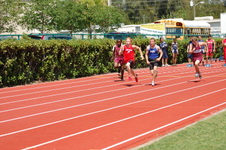 Enlarge photo 489
