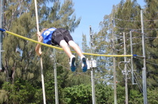 Enlarge photo 496