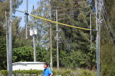 Enlarge photo 499