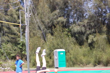 Enlarge photo 517