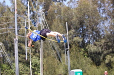 Enlarge photo 534