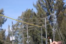 Enlarge photo 584