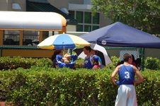 Enlarge photo 697
