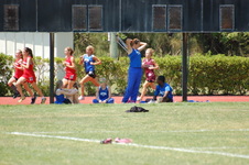 Enlarge photo 1133