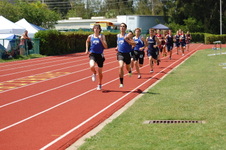 Enlarge photo 1217