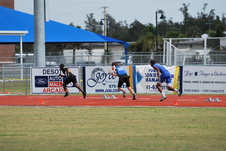 Enlarge photo 93