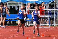 Enlarge photo 240