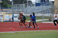 Enlarge photo 379