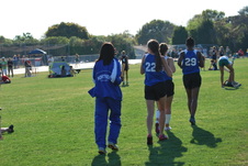Enlarge photo 87