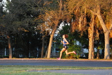 Enlarge photo 147